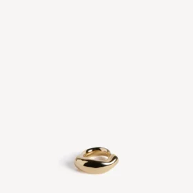 Eisa-ring in glanzend goud
