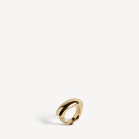 Eisa-ring in glanzend goud
