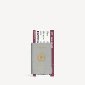 Lange herenportemonnee met ruimte voor paspoort en 1 ticket, in Balenciaga-grijs