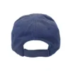 Political Campaign-pet “Blue” 661884310B24277