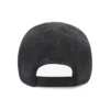 Political Campaign vernietigde pet “Black” 661884410B21077